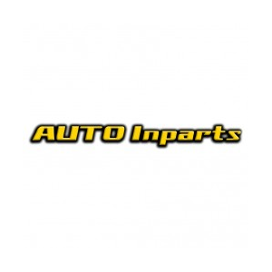 AUTO INPARTS logo