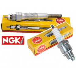 Category image for Plugs (Glow & Spark Plugs)