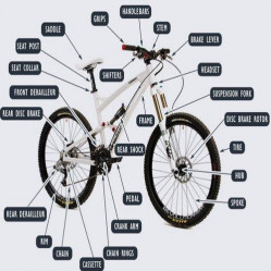 Category image for Cycle Parts